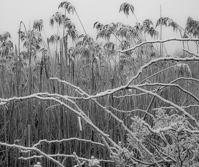 2020-400px-web--herbertkoeppel-photographs-and-workshops-IMG_1443.jpg