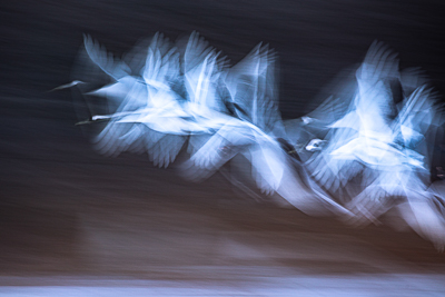 2021-400px-web--herbertkoeppel-photographs-and-workshops-_72A5860-1.jpg
