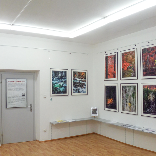 2021-500px-web-ausstellung-tummelplatzgalerie-IMG_20211121_194952-2.jpg