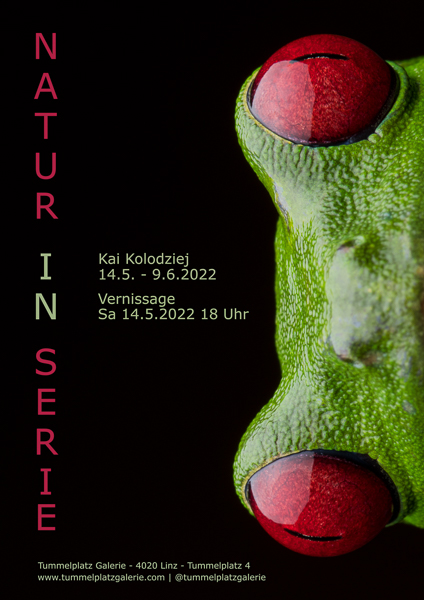 Ausstellung - Natur in Serie.jpg