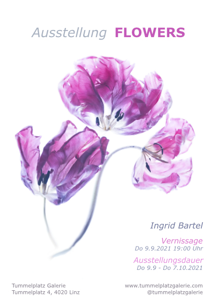 Ausstellungsplakat - Vernissage Do 9.9.2021 Ingrid Bartel_0.jpg