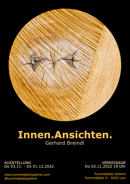 Innen.Ansichten. - Gerhard Breindl.jpg