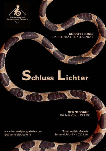 Schlusslichter.jpg