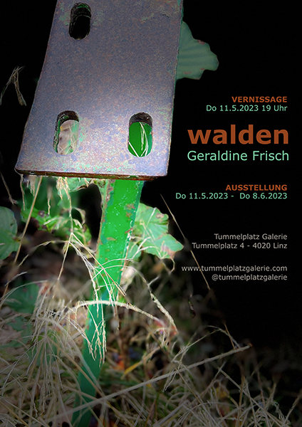 blog- walden - geraldine frisch.jpg