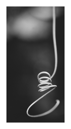 naturfotoworkshop-the-zen-of-seeing-herbert-koeppel_HNKs_114826-Verbessert-3007_1.jpg