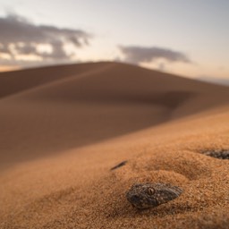 Ausstellung - NATUR IN SERIE - 
Kai Kolodziej